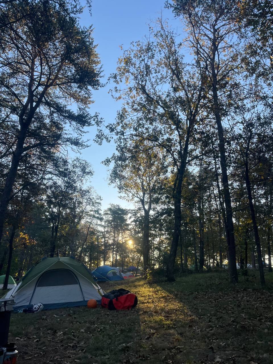 Campsite at first light — low sun burning through the trees behind the tents